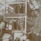 Cocoonery, Cheney Brothers, Manchester