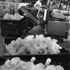 The Fuller Brush plant in East Hartford, 1960