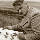 Roger Tory Peterson