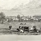Potsdam Village & Willow Ware Factory