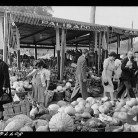 Harvest market near Windsor Locks