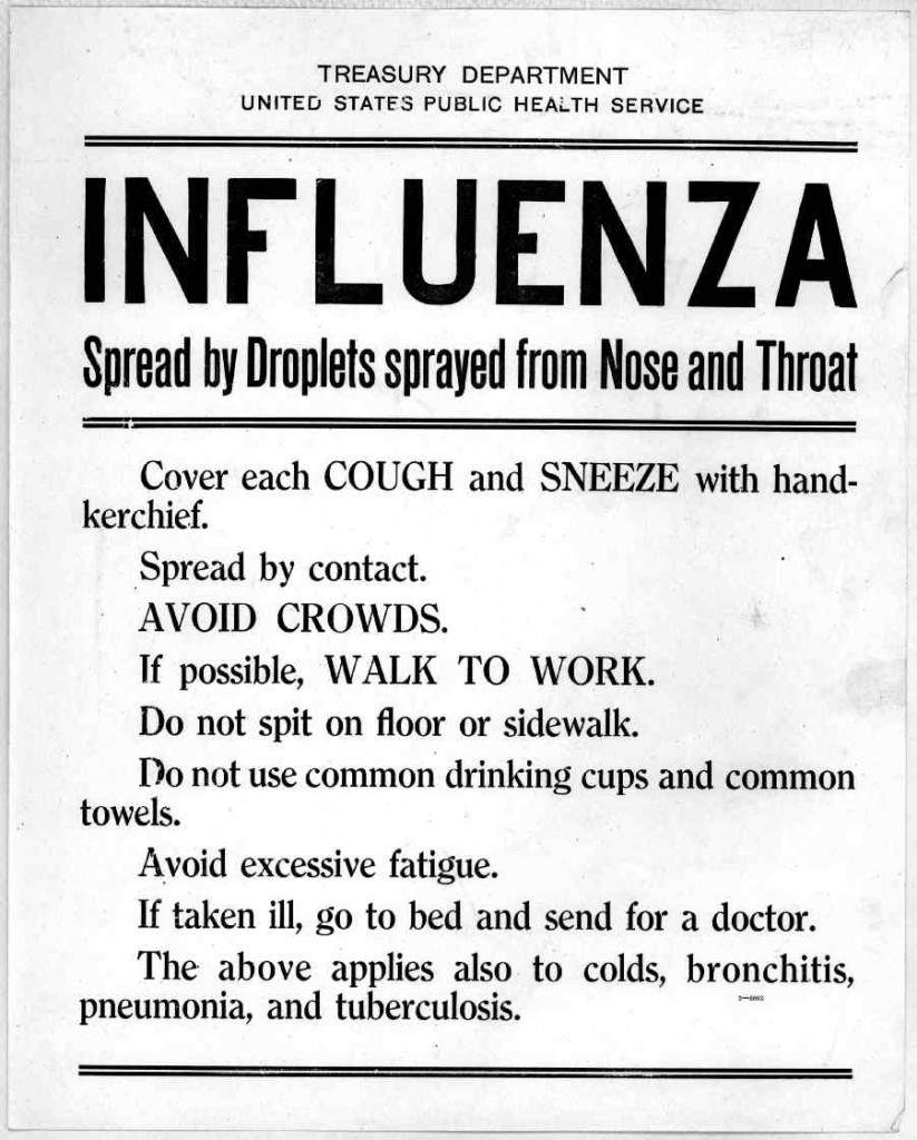 1918 flu pandemic essays