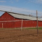 Tobacco barns in Windsor, Connecticut