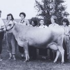 Connecticut Women's Land Army