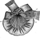 Corinna Thatcher Rogers, Satchet Bag, Patent Number D19,774, April 22, 1890, Ansonia