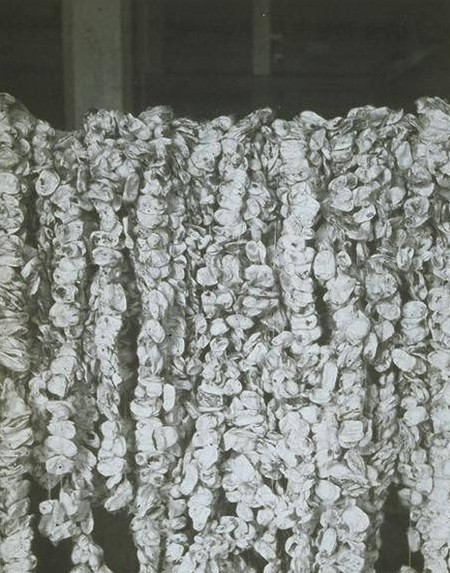 Pierced silk cocoons, Cheney Brothers, Manchester