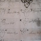 Illustrations showing each farmer's branding earmarks