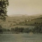 Fields and pastures, Sharon