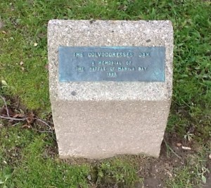 The Colvocoresses Oak marker, Litchfield