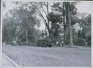 Great Atlantic Hurricane clean up, 1944, Lyme, Connecticut - Southern New England Telephone Company Records, Archives & Special Collections at the Thomas J. Dodd Research Center, University of Connecticut Libraries