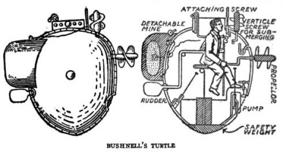 Bushnell's Turtle