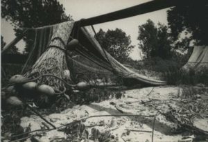 20th-century photograph of shad nets