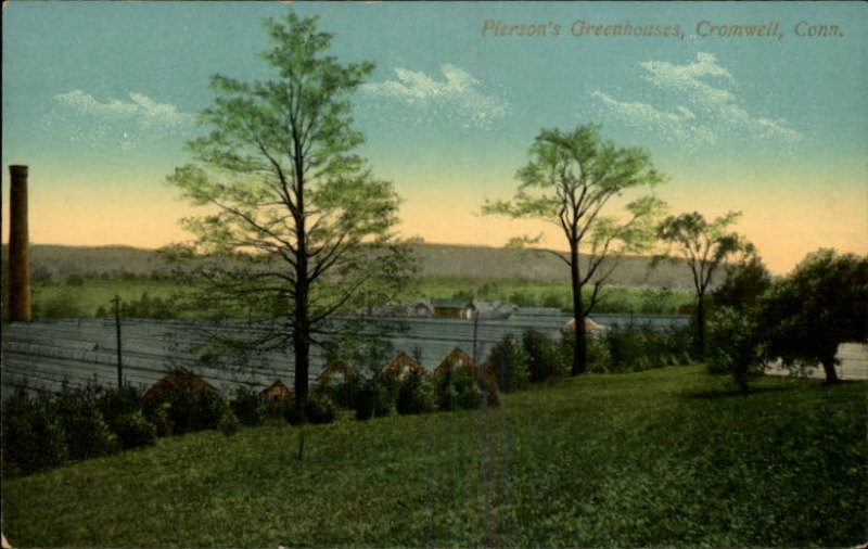 Postcard of Plant B, Pierson's Greenhouses, Cromwell