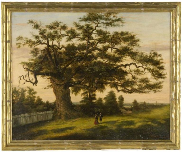 The Legend of the Charter Oak Connecticut History a CTHumanities