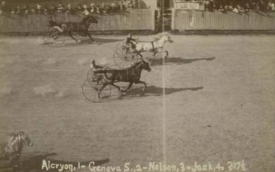 Horses crossing the finish line at Charter Oak Park