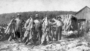 Workers on the Charter farm on Crystal Lake Road, Ellington