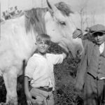 Two boys standing with a light colored horse. Both boys have their hand on the horse's nose.