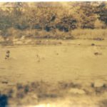 Blurry photograph of a small pond. Three, possibly four children splash in the water. Trees and reeds surround the pond.