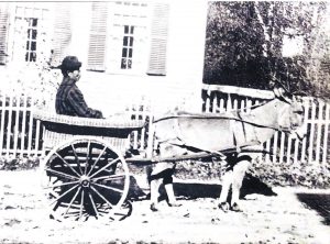 Man sitting in a small cart pulled by a donkey in front of a house with shutters and a fence