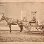 Photograph of a horse hitched to a wagon driven by a man with milk cans in the wagon.