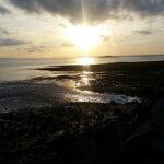 MarkMassellict, CC BY 4.0 , via Wikimedia Commons