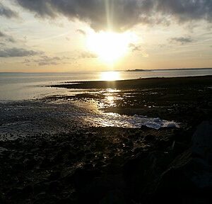 MarkMassellict, CC BY 4.0 , via Wikimedia Commons